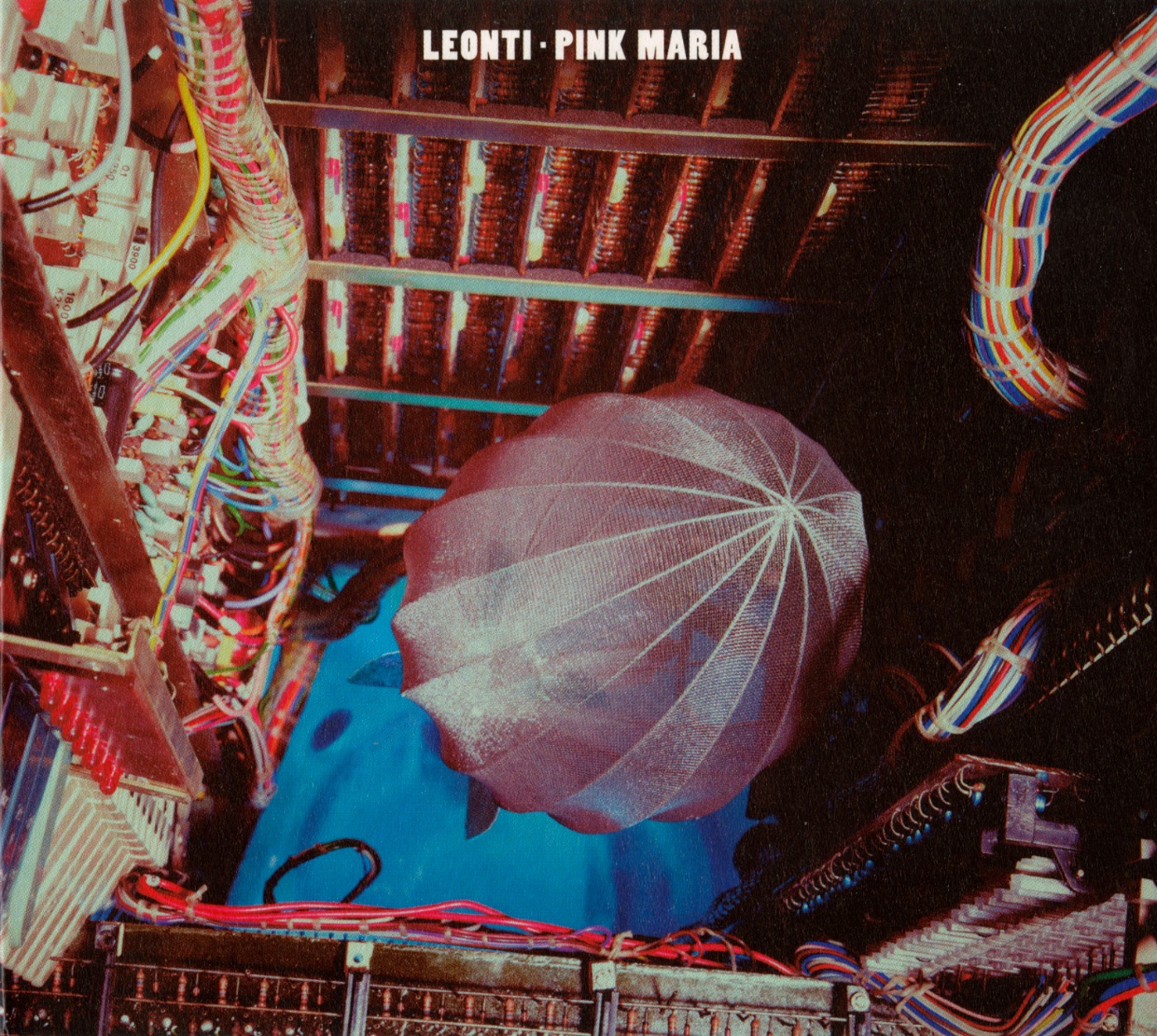 Leonie – Pink Maria (Cover)
