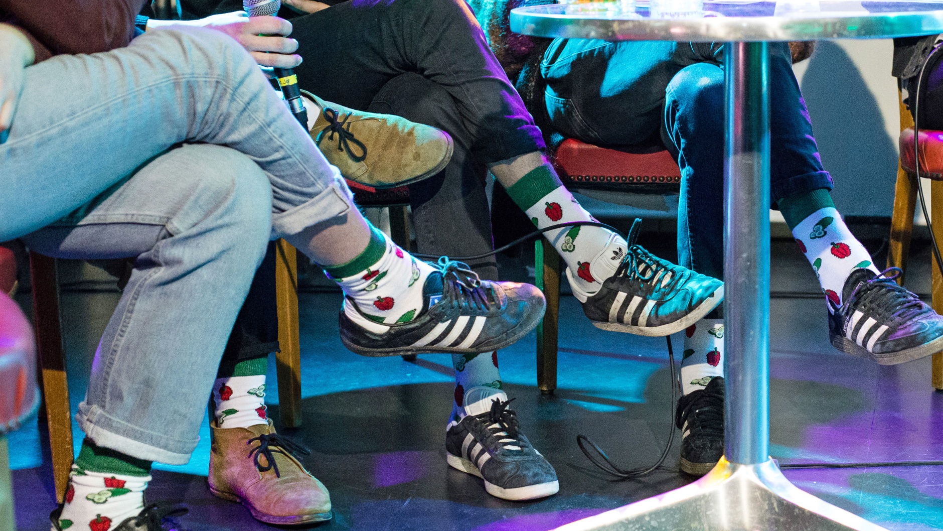 Demo-Socken: Hank gewinnen ein Coaching an der RFV-DemoClinic Analog 2019 © Anaïs Steiner