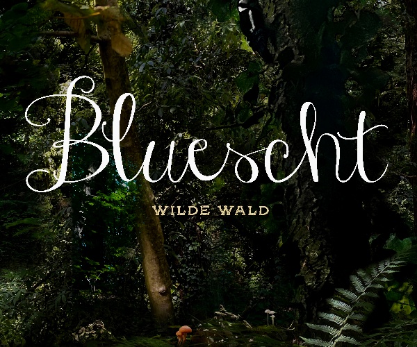 Bluescht - Wilde Wald: Im Grenzgebiet zwischen Naturjodel, Folkpop und der Improvisation