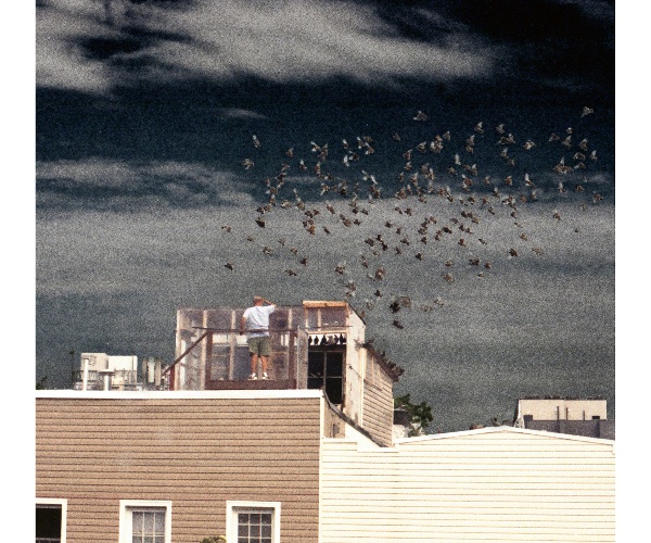 Luna Oku – Figment (Cover)