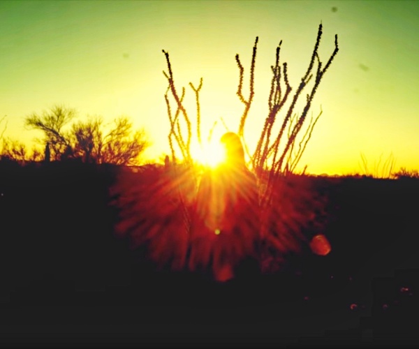 Video of the week von Inez