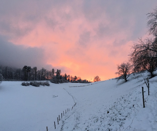 Ob Waldenburg im Dezember 2020 © Mo Zimmerli